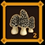 Mushroom Hunter Level 2