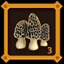 Mushroom Hunter Level 3