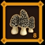 Mushroom Hunter Level 8