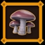 Blewit Mushroom