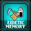 Eidetic Memory