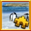 Beach Penguins Complete!